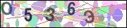 captcha.gif