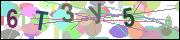 captcha.gif