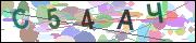captcha.gif