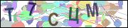 captcha.gif