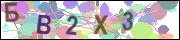 captcha.gif