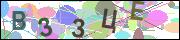 captcha.gif