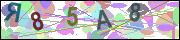 captcha.gif