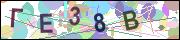 captcha.gif