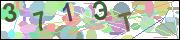 captcha.gif