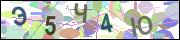 captcha.gif