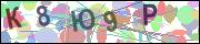 captcha.gif