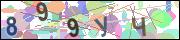 captcha.gif