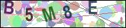 captcha.gif