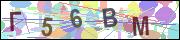 captcha.gif