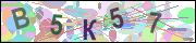 captcha.gif