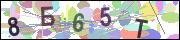 captcha.gif