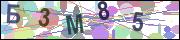 captcha.gif