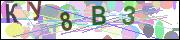 captcha.gif