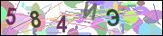 captcha.gif