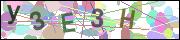 captcha.gif