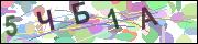 captcha.gif