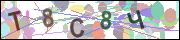 captcha.gif