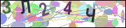 captcha.gif