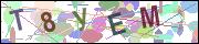 captcha.gif