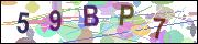 captcha.gif