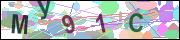 captcha.gif