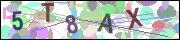 captcha.gif
