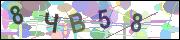 captcha.gif