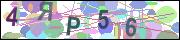 captcha.gif