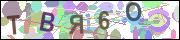 captcha.gif