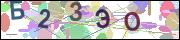 captcha.gif