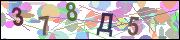 captcha.gif