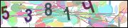 captcha.gif