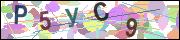 captcha.gif