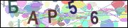 captcha.gif