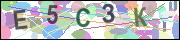 captcha.gif