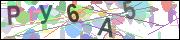 captcha.gif