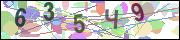 captcha.gif